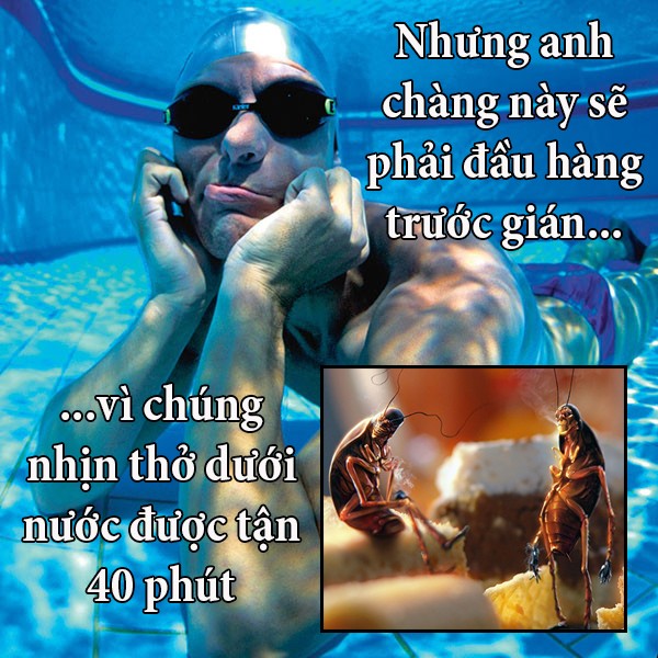 funfact về con người